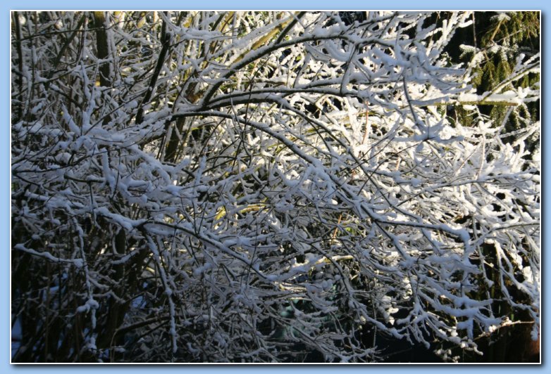 Arnhem Snow 127